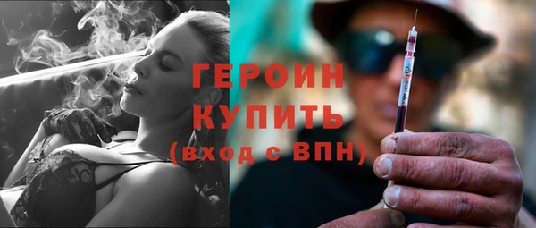 гашик Алексин
