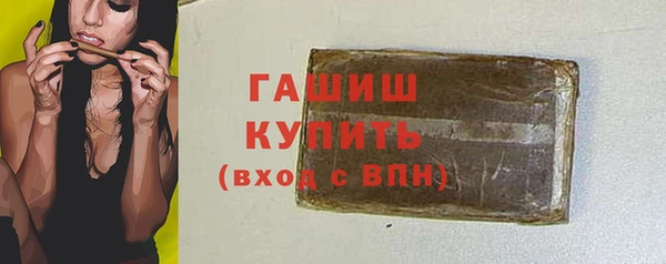 гашик Алексин