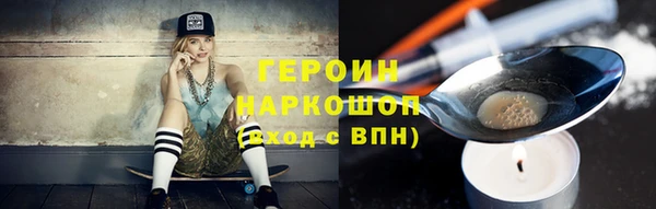 гашик Алексин