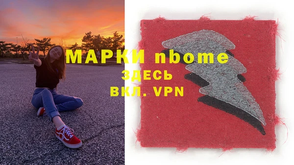 гашик Алексин
