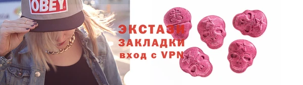 гашик Алексин
